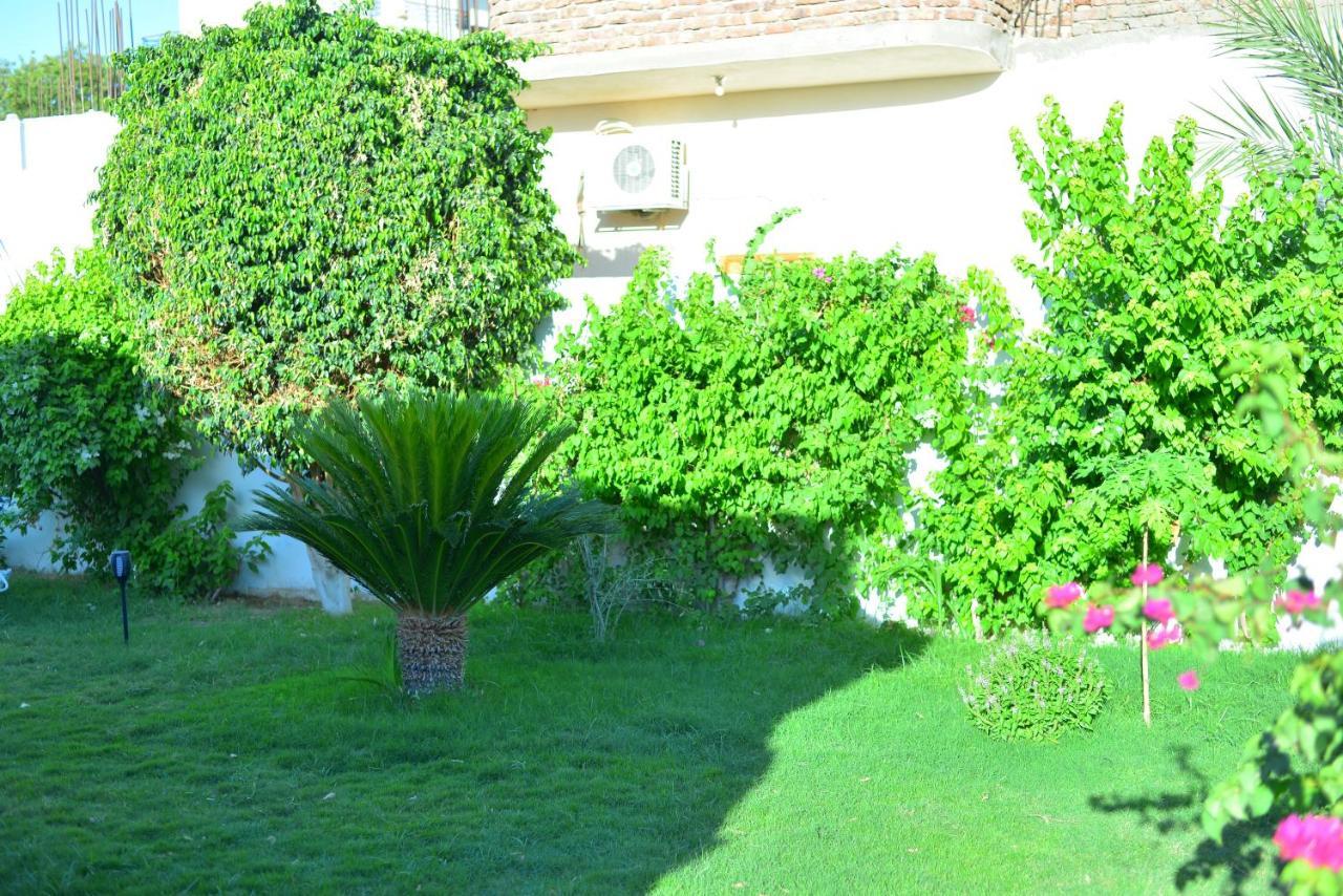 Luxor Rose Villa Zewnętrze zdjęcie